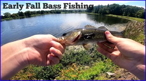 Early Fall Bass Fishing Pond Fishing Youtube