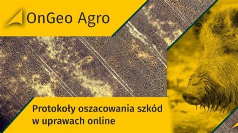 Protok Szacowania Ostatecznego Szkody Owieckiej Ongeo Pl Blog