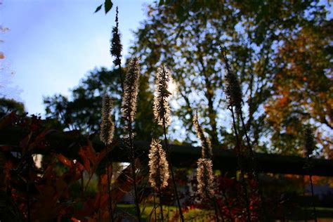 Shine On Photograph By Tim Fitzwater Fine Art America