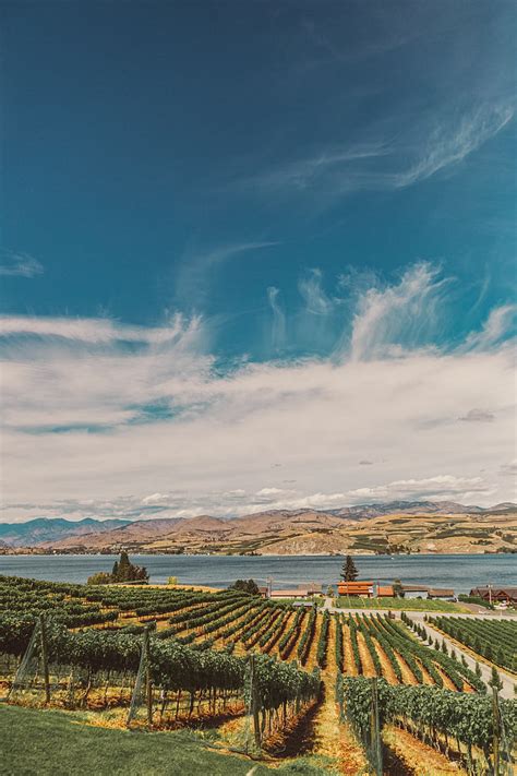 10 Must Visit Wine Destinations In The US