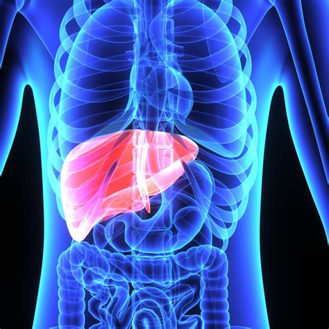 Liver Pain: What It Could Mean - University Health News