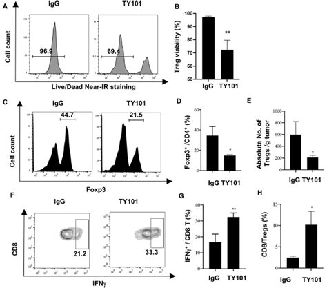 Effect of TY101 on tumor infiltrating Tregs and IFN γ CD8 CTLs A H