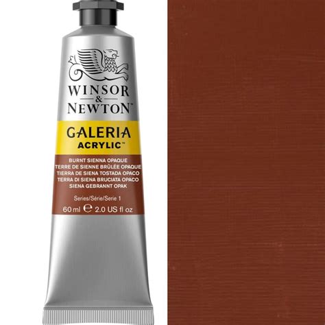 Winsor Newton Galeria 60ml Burnt Sienna Opaque K M Evans Trading Ltd