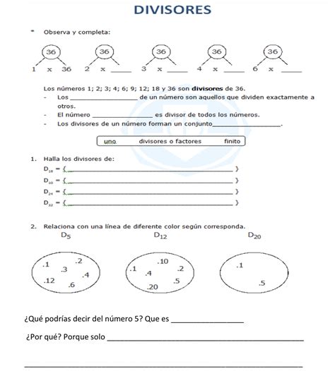 Fichas Divisores