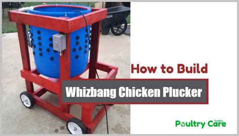 How To Build A Chicken Plucker Whizbang Chicken Plucker Poultry