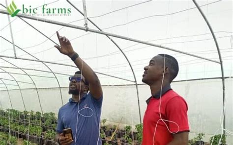 Agritech Startups Enhancing Food Production With Technology In