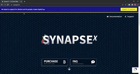 Synapse X  Synapse X Discover And Share S