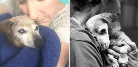 18 Year Old Blind Dog Meets Her First Person At The Shelter And Refuses