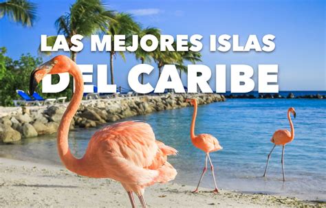 Las Mejores Islas Del Caribe Para Conocer Este 2024 Horizon