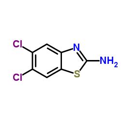 2 Amino 5 6 Diclorobenzotiazol CAS 24072 75 1 Proveedor De Fabricante