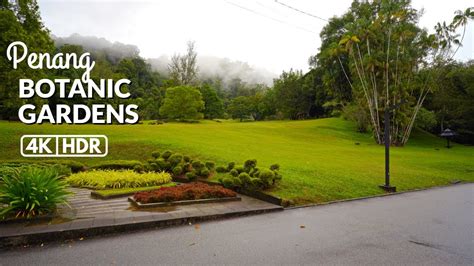 【4k Hdr】penang Botanical Garden Taman Botani Pulau Pinang Youtube