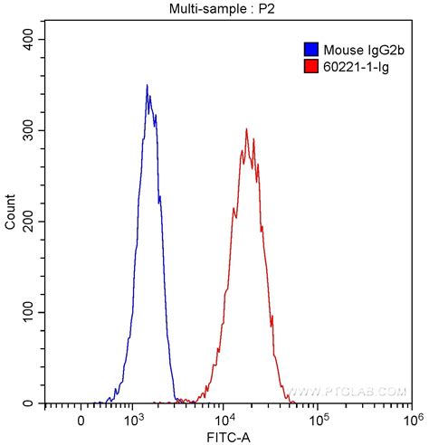 Il Rb Fusion Protein Ag Proteintech