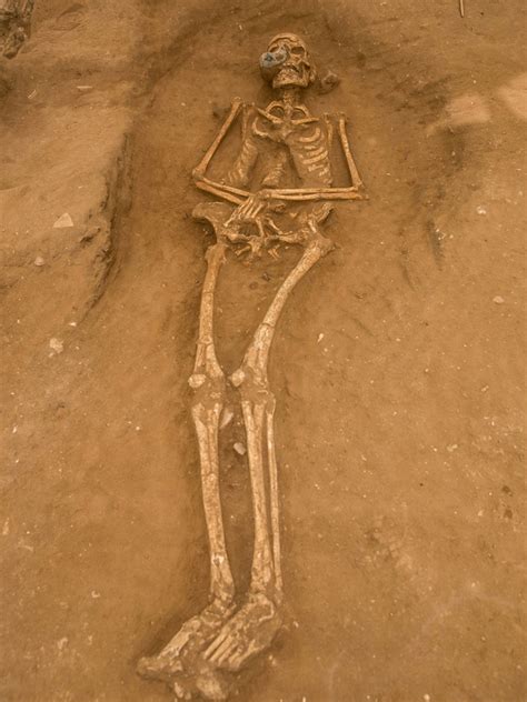 Nephilim Giant Skeletons