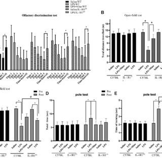 Chronic Lps Intranasal Infusion Induced Phosphorylation Of S Syn