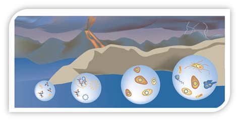La Evoluci N Quimica Y Celular