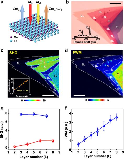 Nonlinear Optical Imaging Characterization A Schematic Of The