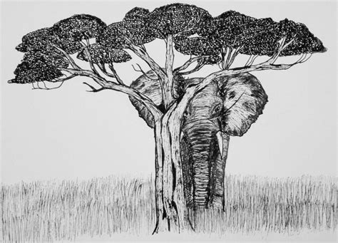 African Savanna Trees Drawing - Pets Lovers