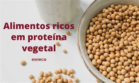 Alimentos Ricos Em Proteína Vegetal Fáceis De Preparar Esneca