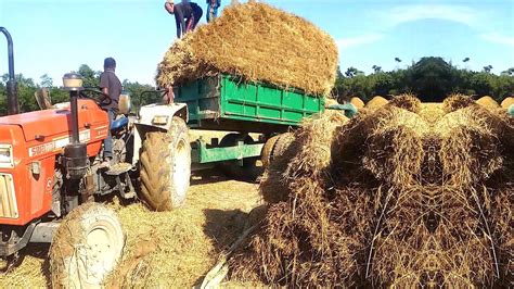 New Model Swaraj 960 Fe Unloading Paddy Swaraj 960 Fe Tractor Paddy