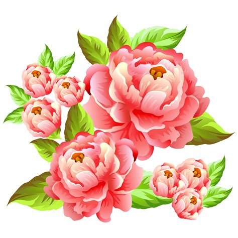 Camellia Flower Illustration Download Free Vectors Clipart Graphics And Vector Art