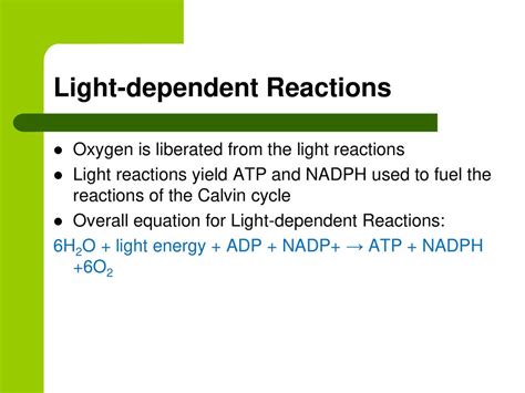 Photosynthesis Light Reaction Equation