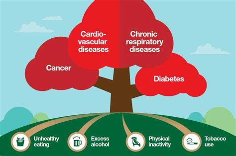 What Is Non Communicable Disease Cnc3