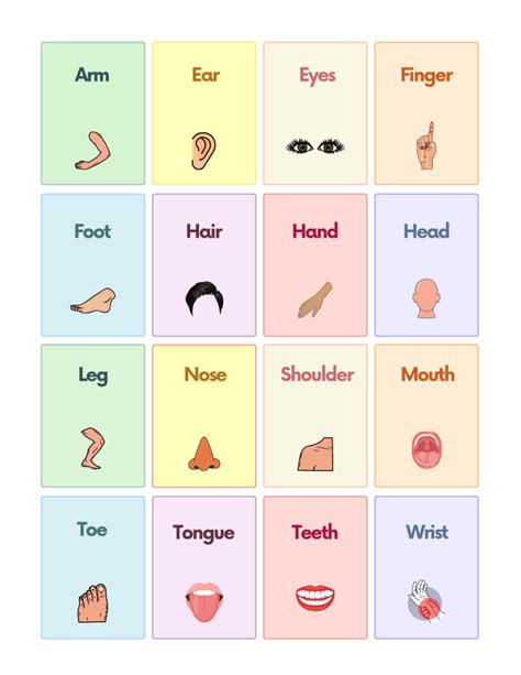 Free Body Parts Flashcards for Autism and Speech Therapy | AutisticHub