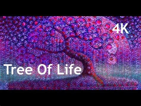 Tree Of Life Meditation Mindfulness YouTube