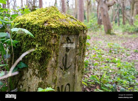 Ministry of defence boundary marker hi-res stock photography and images - Alamy