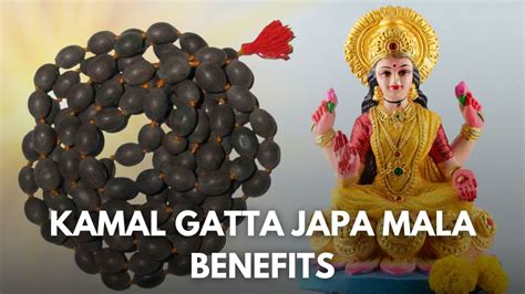 5 Amazing Benefits Of Using Kamal Gatta Or Lotus Seed Mala For Mantra ...