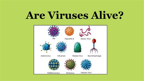 Are Viruses Alive