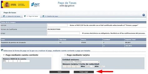 Modelo 791 Dgt Pago De Las Tasas Autogestoría