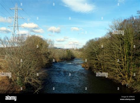 River taff radyr cardiff rural tree trees wales hi-res stock photography and images - Alamy