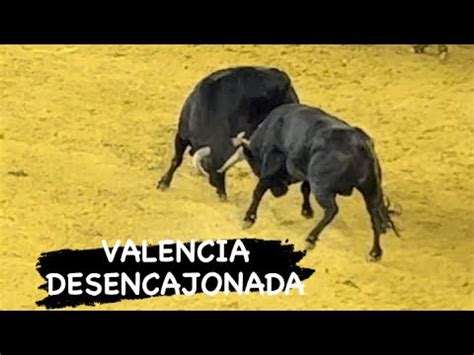 Valencia Desencajonada De Miura Juan Pedro Y Garcia Jim Nez Recortes