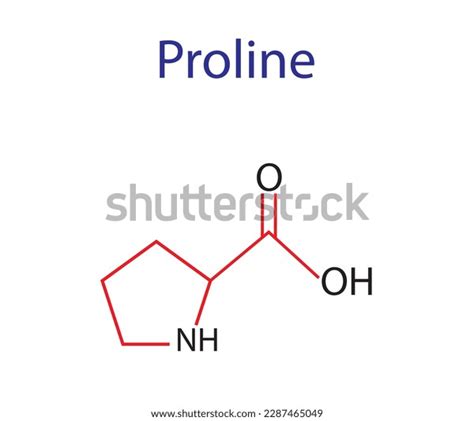 Proline Amino Acid Formula Structure Chemical Stock Vector Royalty