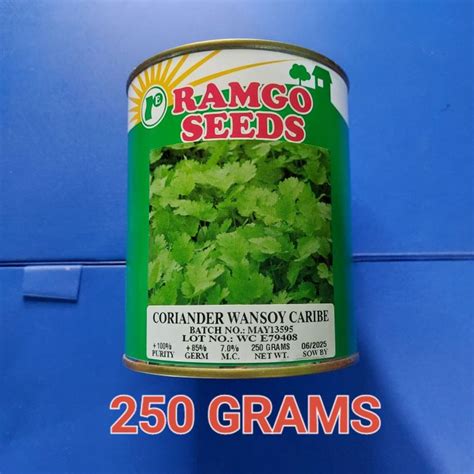 Coriander Wansoy Caribe 250 Grams Coriander Seeds By Ramgo Seeds