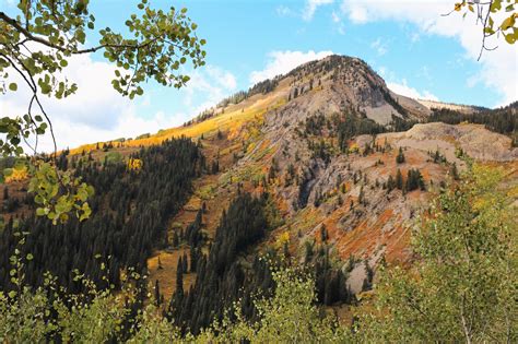 Crested Butte is Colorado's Best Kept Fall Secret - PDH