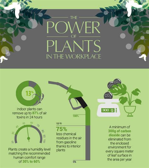 Infographie Sur Le Pouvoir Des Plantes Ambius