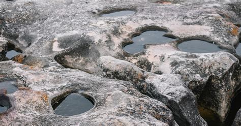 Gua Mole Em Pedra Dura Tanto Bate At Que Fura