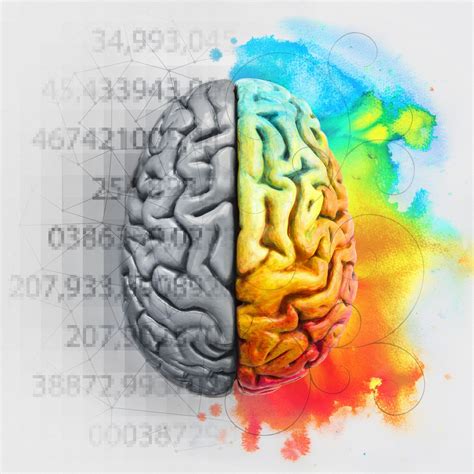 The Real Neuroscience Of Creativity Right Brain Creative Brain Art