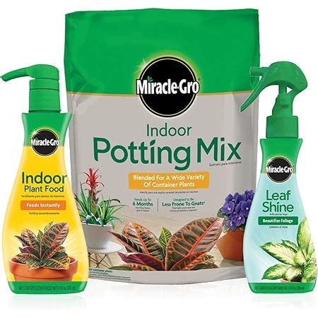 Amazon Miracle Gro Cactus Palm Citrus Potting Mix And Plant