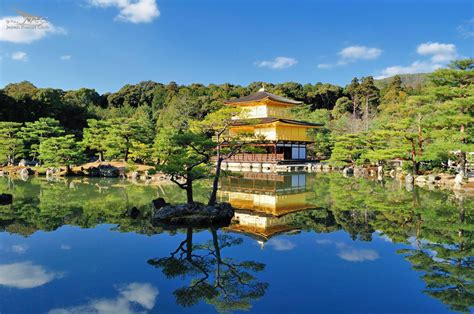 Kinkakuji Golden Pavilion Kyoto Japan Resort Club