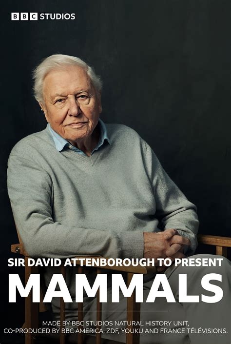 Mammals David Attenborough Book Neely Annette