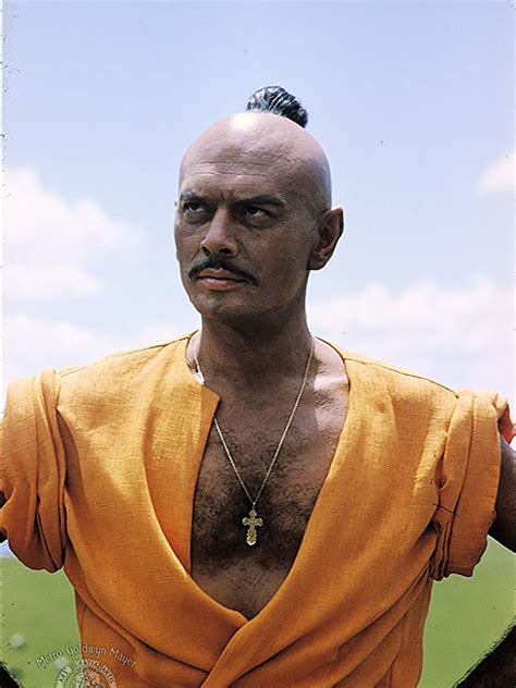 taras bulba sincroguia tv