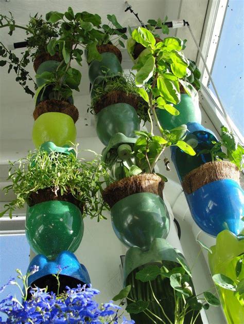 Water Bottle Garden Ideas For This Year Sharonsable