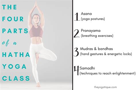 Hatha Yoga 101 History 10 Benefits Of Hatha Yoga 5 Popular Poses