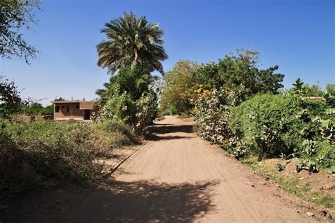 Premium Photo The Garden In The Small Village On Nile River Close