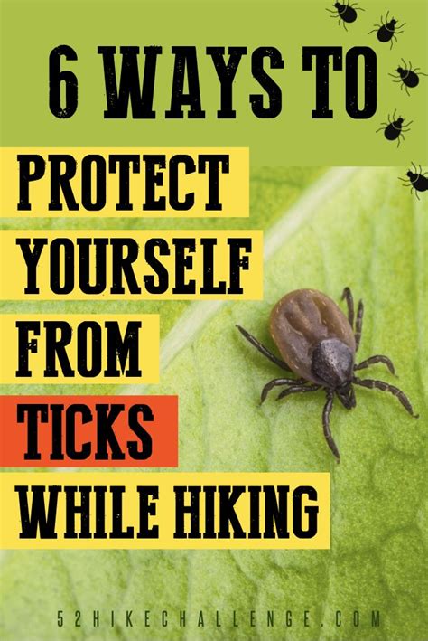 Sawyer Insect Repellent Ways To Protect Yourself From Ticks While