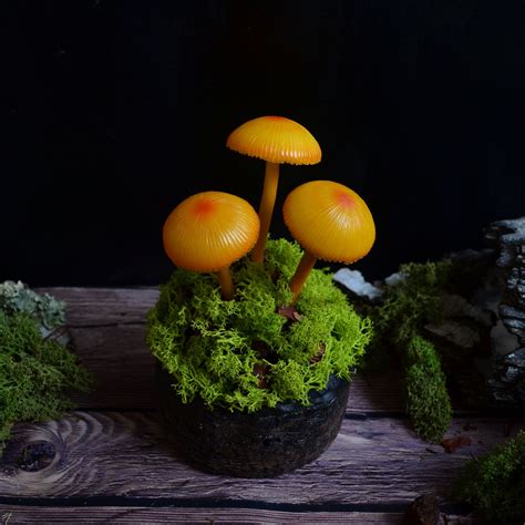 Mushroom Lamp Mushrooms Night Light Fungi LED Glowing In The Etsy