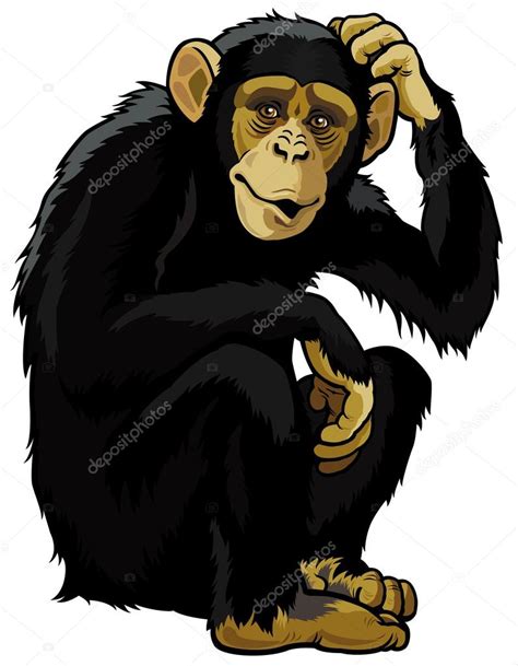 Chimpanzee Stock Vector Image By ©insima 20616277